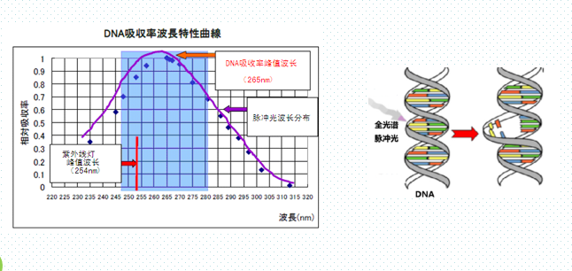 脈沖強光水處理——飲用水微生物凈化處理技術(shù)
